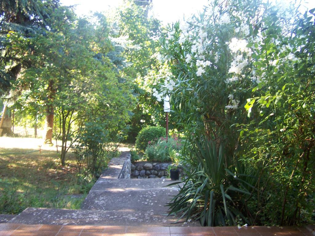 Vila Popovski Ljubanista Room photo